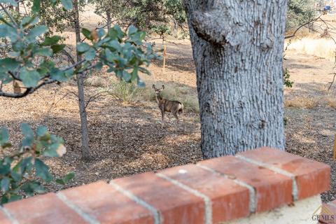 21305 21305 Hacienda Dr, Tehachapi, CA 93561 photo 32