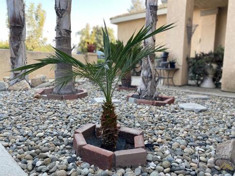 5013 Shadow Brook St, Bakersfield, CA 93313 photo 5