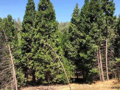 44974 Mcclenny, Posey, CA 93260 photo 6