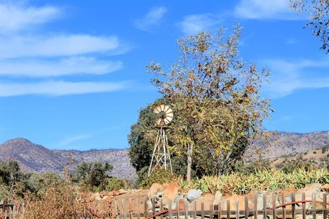 19477 Walker Basin Rd, Caliente, CA 93518 photo 29