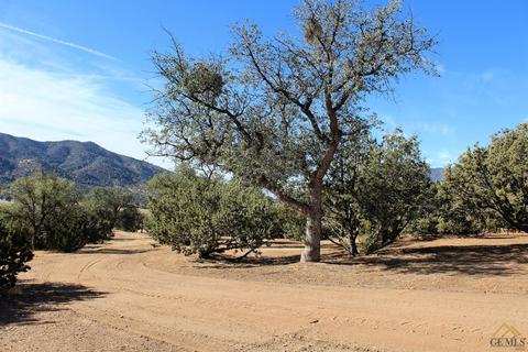 19477 Walker Basin Rd, Caliente, CA 93518 photo 17