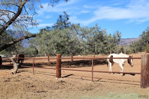19477 Walker Basin Rd, Caliente, CA 93518 photo 19