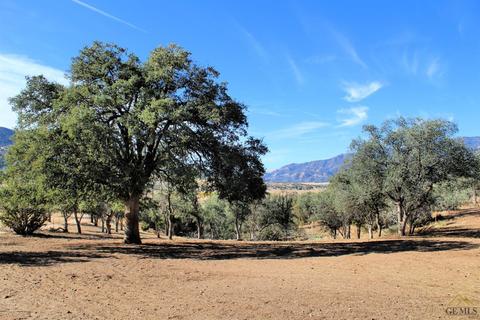 19477 Walker Basin Rd, Caliente, CA 93518 photo 23