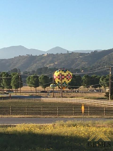 29231 N Lower Valley Rd, Tehachapi, CA 93561 photo 34
