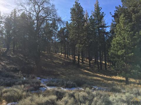 17081 Matterhorn Dr, Tehachapi, CA 93561 photo 1