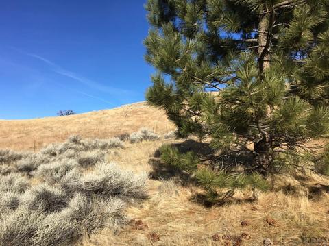 17091 Matterhorn Dr, Tehachapi, CA 93561 photo 1