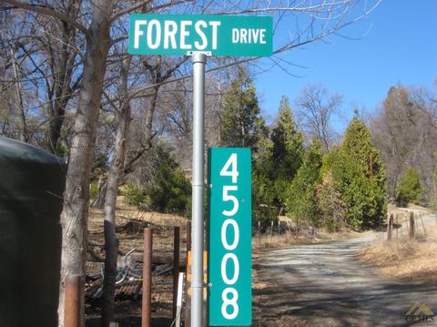 45008 Forest Dr, Posey, CA 93260 photo 2