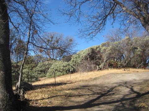 45008 Forest Dr, Posey, CA 93260 photo 20