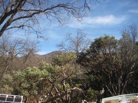 45008 Forest Dr, Posey, CA 93260 photo 21