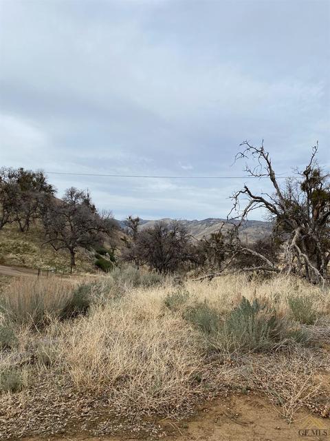 22065 Arosa St, Tehachapi, CA 93561 photo 17