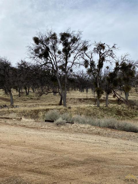 22065 Arosa St, Tehachapi, CA 93561 photo 4