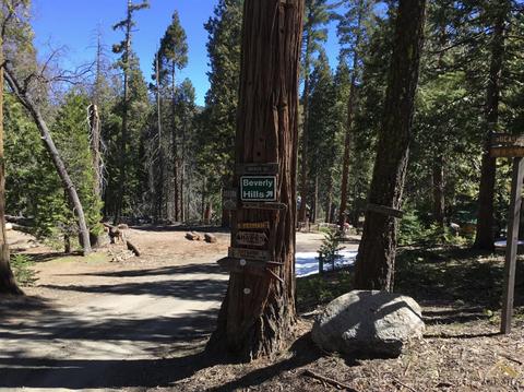 48701 Sugarpine Trl, Posey, CA 93260 photo 27