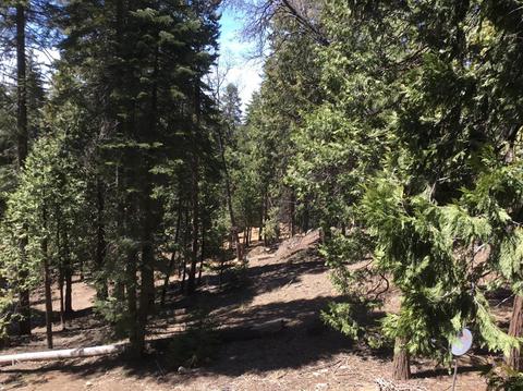 48701 Sugarpine Trl, Posey, CA 93260 photo 15