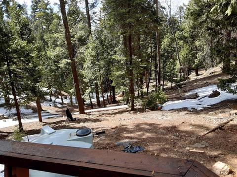 48701 Sugarpine Trl, Posey, CA 93260 photo 22