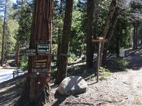 48701 Sugarpine Trl, Posey, CA 93260 photo 21