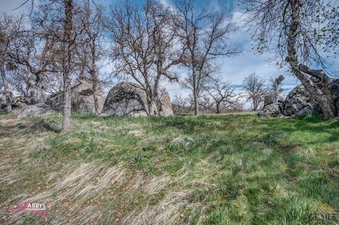 39388 Old Stage Rd, Posey, CA 93260 photo 39
