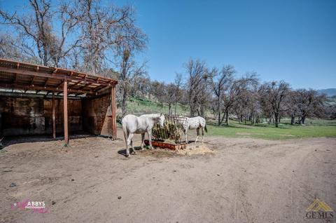 39591 Old Stage Rd, Posey, CA 93260 photo 19