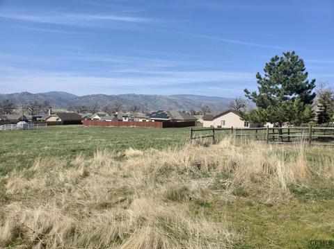17641 Bold Venture Dr, Tehachapi, CA 93561 photo 19