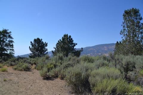 22481 Saddleback Dr, Tehachapi, CA 93561 photo 1