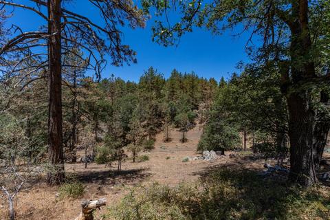 25521 Paramount, Tehachapi, CA 93561 photo 31