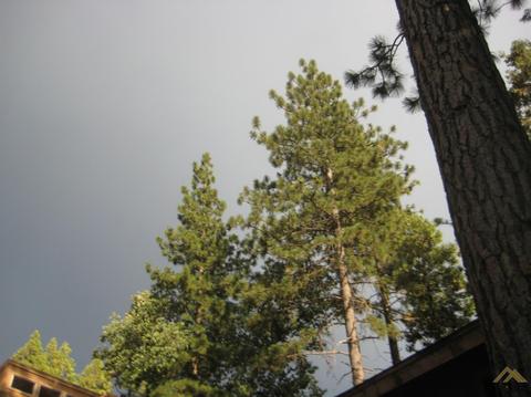 45731 Hathily Dr, Posey, CA 93260 photo 24