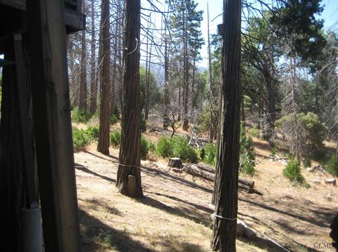 45731 Hathily Dr, Posey, CA 93260 photo 30