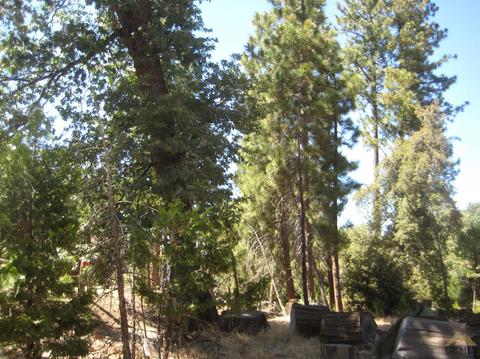 45680 Sugarloaf, Posey, CA 93260 photo 1