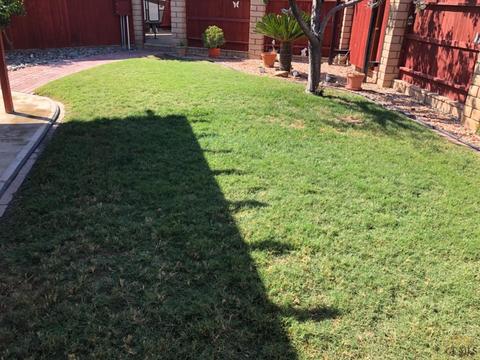 511 Alpine St, Taft, CA 93268 photo 26