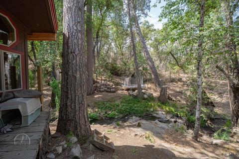44473 Old Stage Rd, Posey, CA 93260 photo 30