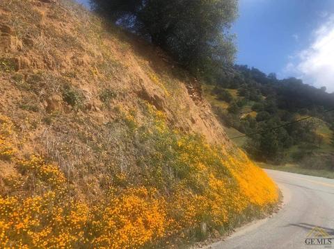 44473 Old Stage Rd, Posey, CA 93260 photo 37