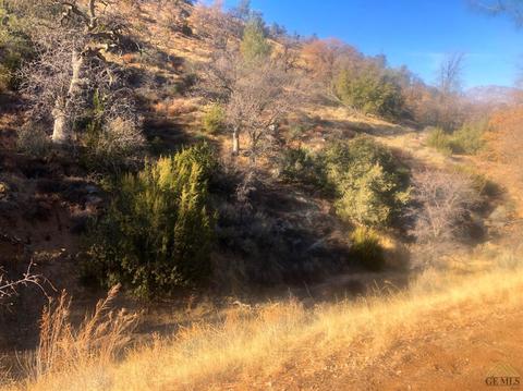 120 Rim Rd, Bodfish, CA 93205 photo 19
