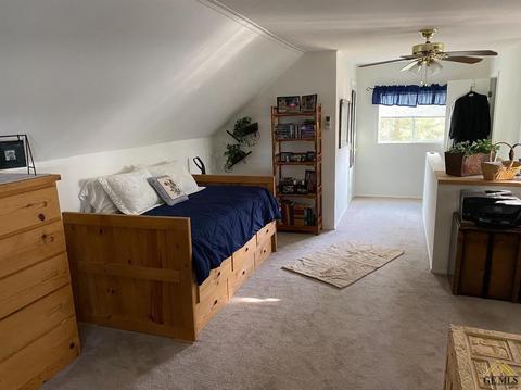 45783 Carlin Dr, Posey, CA 93260 photo 21
