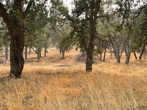 21606 Sunnybrook Dr, Tehachapi, CA 93561 photo 1