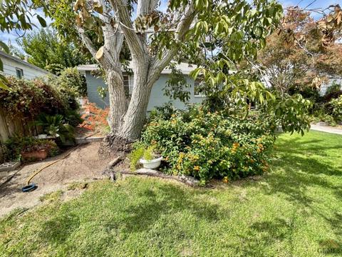 506 Pierce St, Taft, CA 93268 photo 29