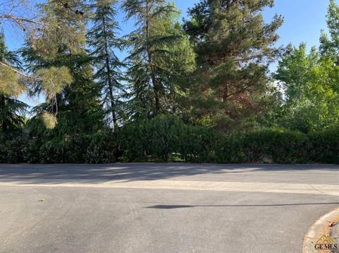 12420 Backdrop Ct, Bakersfield, CA 93306 photo 11