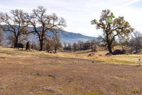 28900 Birkdale Ct, Tehachapi, CA 93561 photo 28