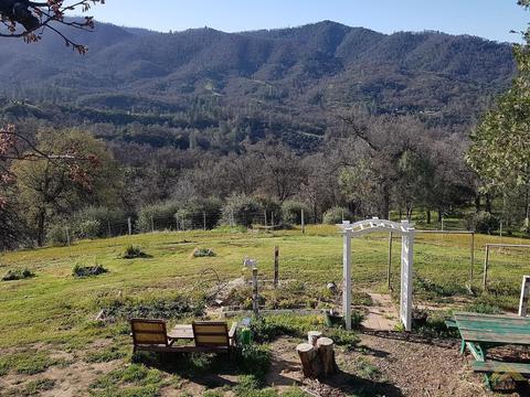 44445 Sugarloaf Dr, Posey, CA 93260 photo 26
