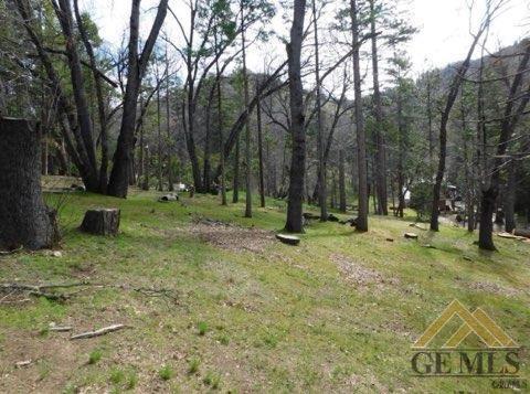 46149 Ridge Rd, Posey, CA 93260 photo 10