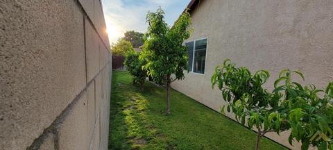 1917 Griffith Ave, Wasco, CA 93280 photo 23