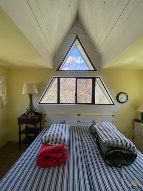 45618 Poso Park Dr, Posey, CA 93260 photo 10