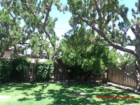 1026 Oak Ave, Wasco, CA 93280 photo 9