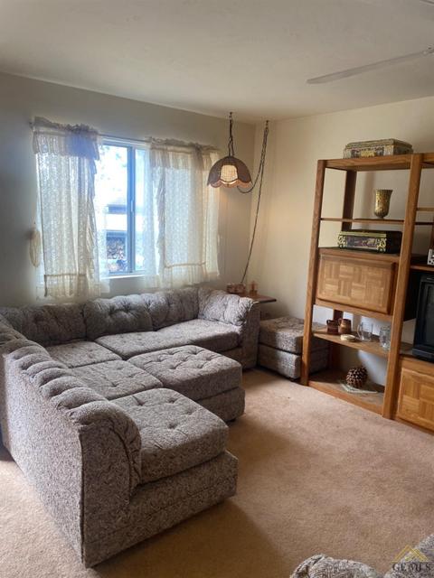 45762 Hathily Dr, Posey, CA 93260 photo 5