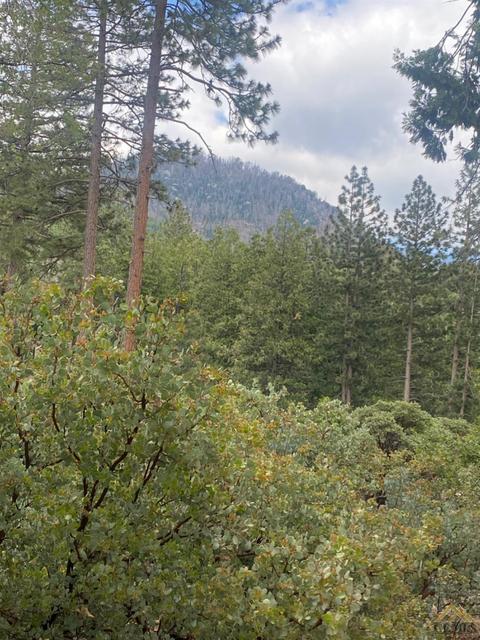 45762 Hathily Dr, Posey, CA 93260 photo 21