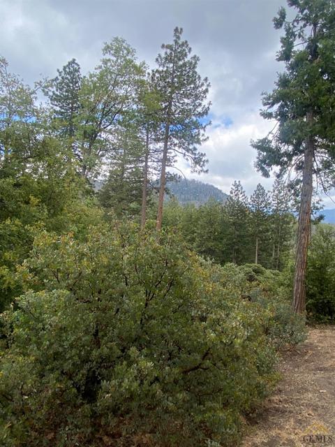 45762 Hathily Dr, Posey, CA 93260 photo 22