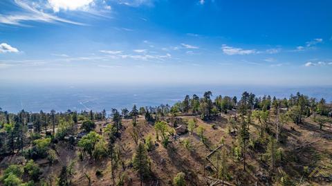 26710 Deertrail, Tehachapi, CA 93561 photo 36