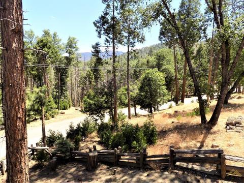 45749 Sugarloaf Dr, Posey, CA 93260 photo 23