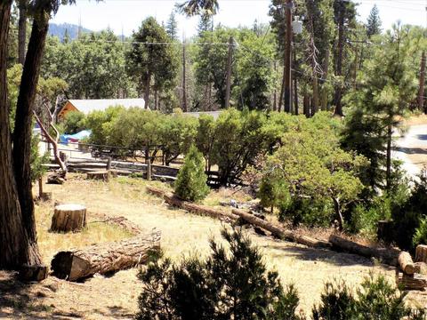 45749 Sugarloaf Dr, Posey, CA 93260 photo 53