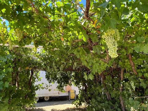 6274 Poplar St, Weldon, CA 93283 photo 12