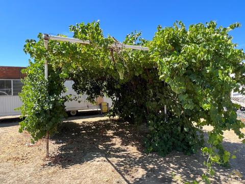 6274 Poplar St, Weldon, CA 93283 photo 13