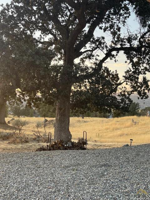 17741 Bold Venture Dr, Tehachapi, CA 93561 photo 5